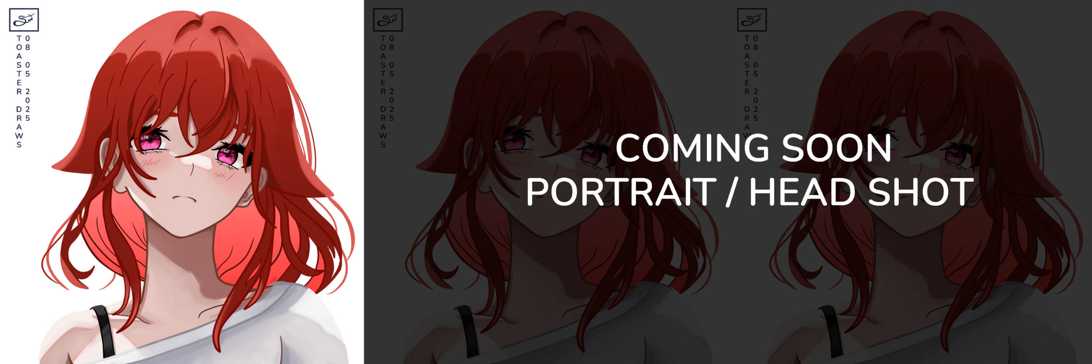 An example prepared by the artist Toaster for a portrait or head shot of a character illustration.